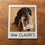An instant photo lying on a warm wooden table shows a black-and-tan dachshund with a bandana holding a smaller instant photo in his mouth, which shows him holding yet another, three levels deep. The three white borders read “How Claude’s memory works” in rough black marker handwriting.